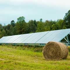 agricultural